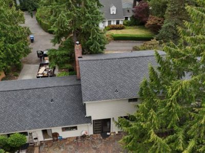 Reliable Roof Replacement Solutions