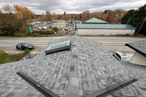Expert Skylight Replacement Solutions